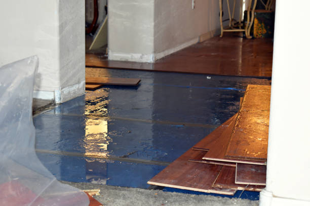 Professional Burst Pipe Water Damage technician working in Springfield, MN